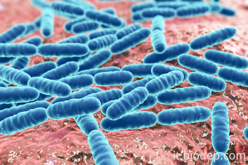 Saccharomyces boulardii1 Saccharomyces boulardii1